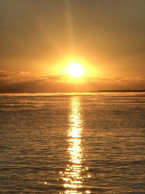 新年明けましておめでとうございます